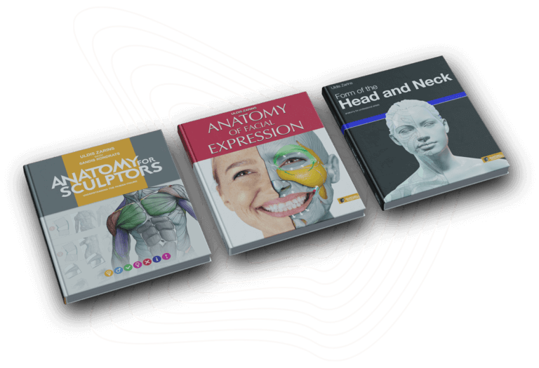 Anatomy For Sculptors | Anatomy Book Series For Artists