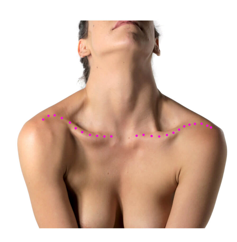clavicle location and morphology cupids bow live model anatomy for sculptors