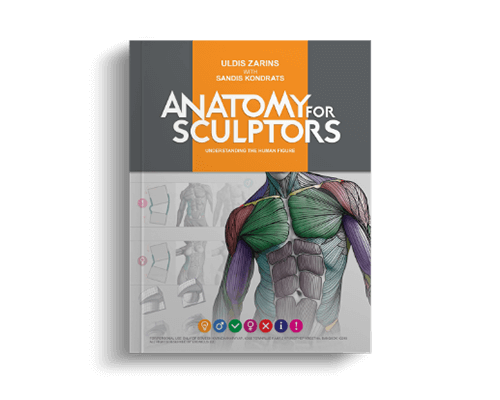 anatomy-for-sculptors-understading-the-human-figure-hero-book-mock-up