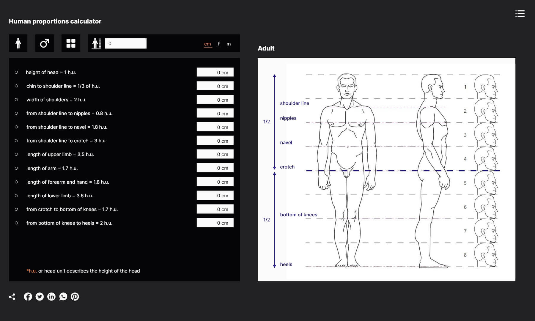 vista previa de la calculadora de proporciones humanas