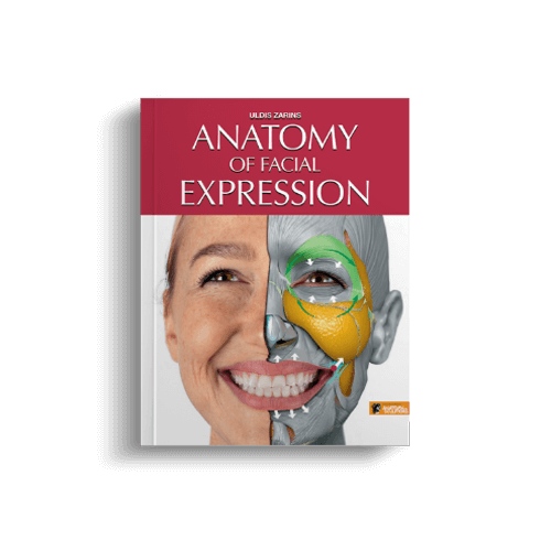 anatomy-of-facial-expression-by--anatomy-for-sculptors-mock-up