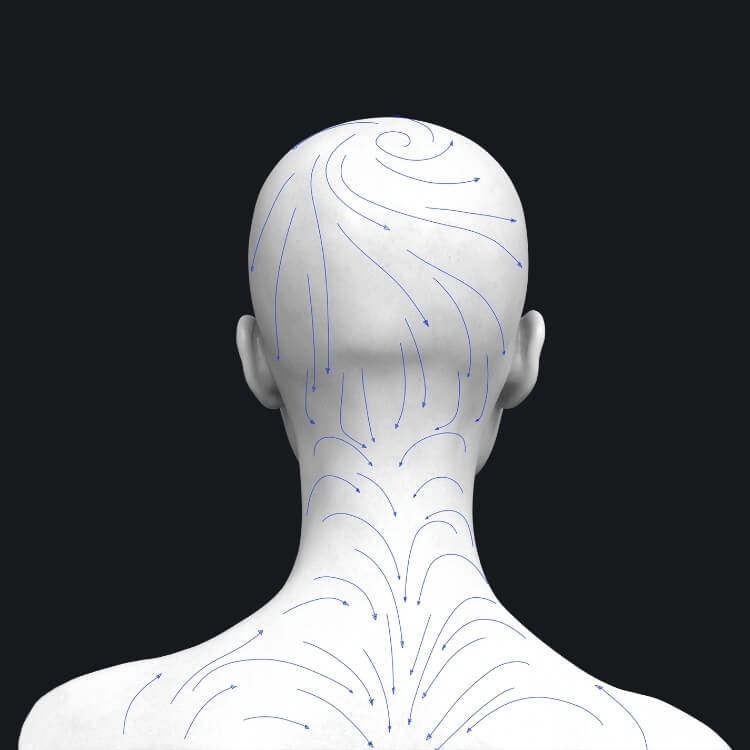 Realistic human 3D model hair and teeth face hair growth back view anatomy for sculptors