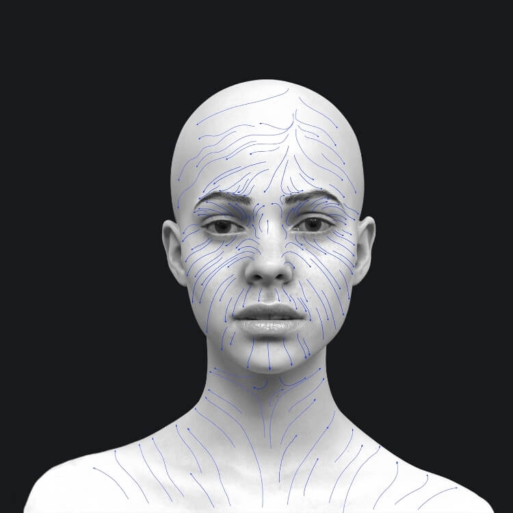 Realistic human 3D model hair and teeth face hair growth front view anatomy for sculptors