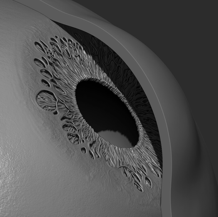 Realistic human 3D model the eye iris geometry sculpt anatomy for sculptors
