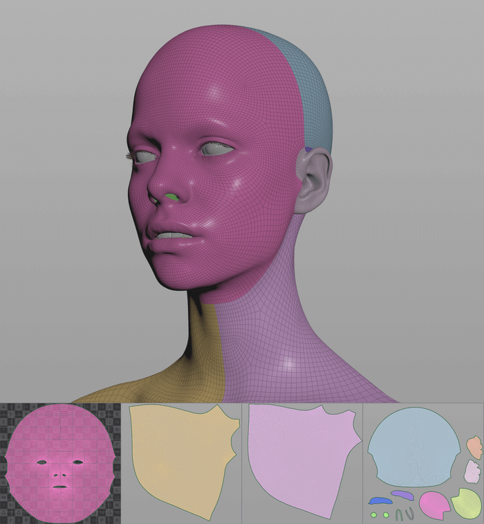 UDIMs technique realistic human 3d model the skin anatomy for sculptors