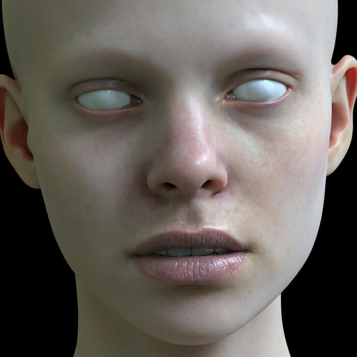 skin render realistic human 3d model the skin anatomy for sculptors