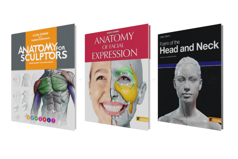 Anatomy For Sculptors Anatomy Book Series For Artists