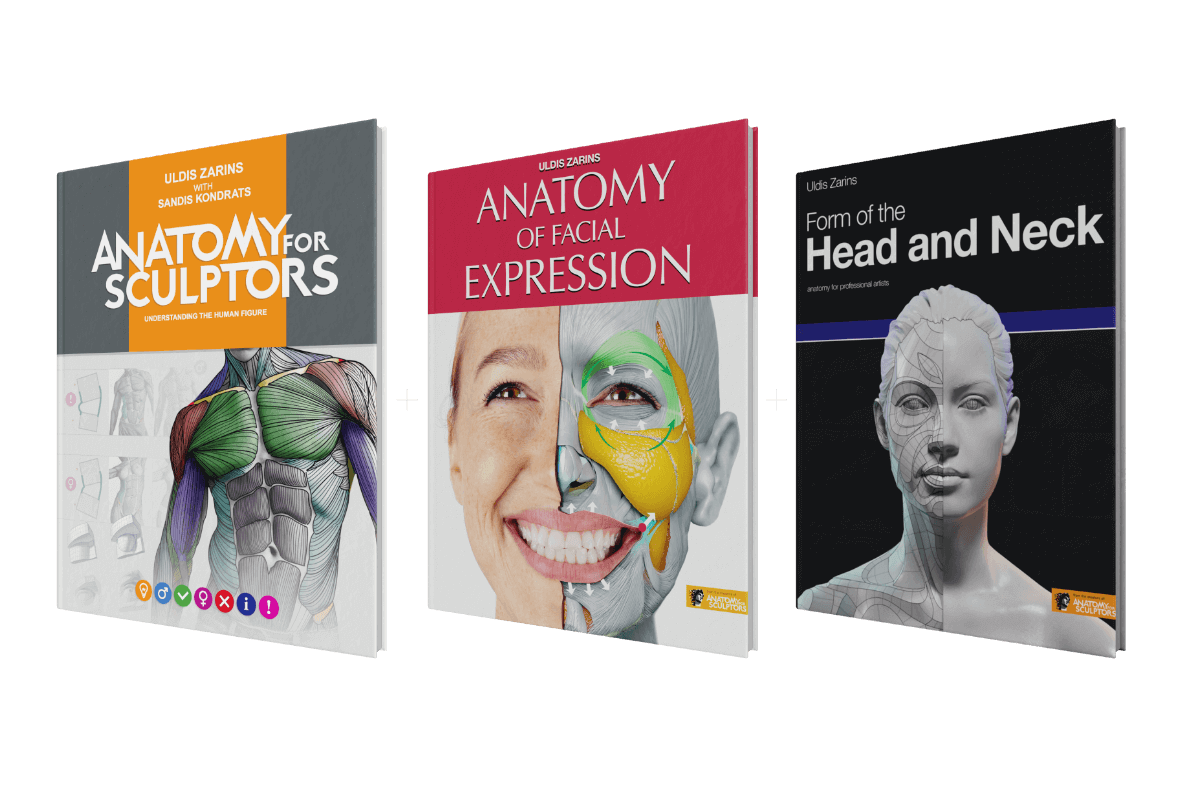 anatomy for sculptors book bundle series