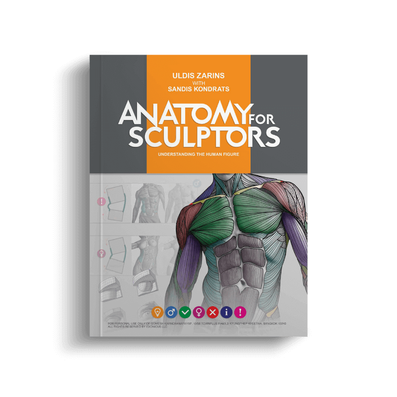 anatomy for sculptors understanding the human figure homepage