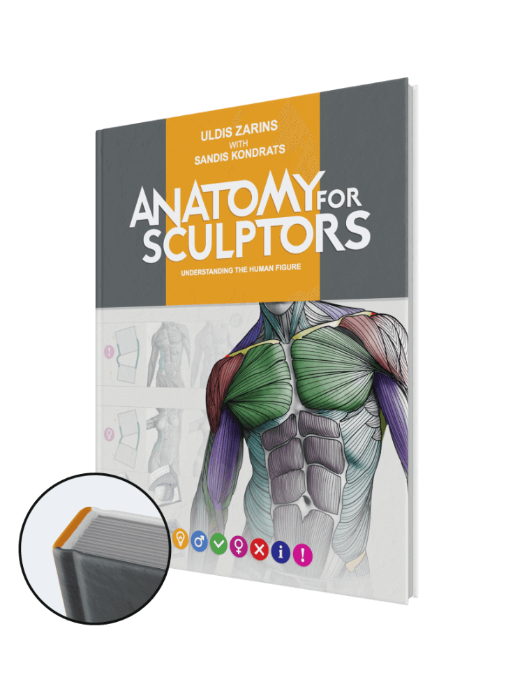 anatomy for sculptors, understanding the human figure hardcover