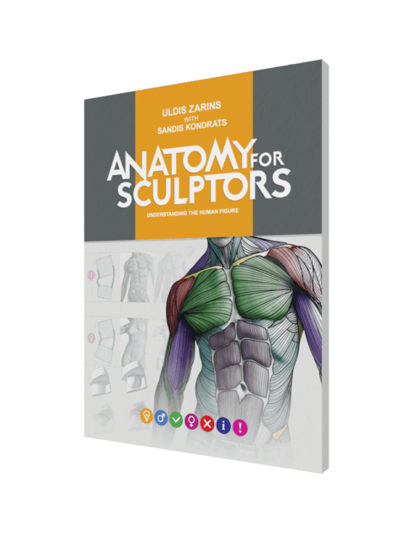 anatomy for sculptors, understanding the human figure paperback