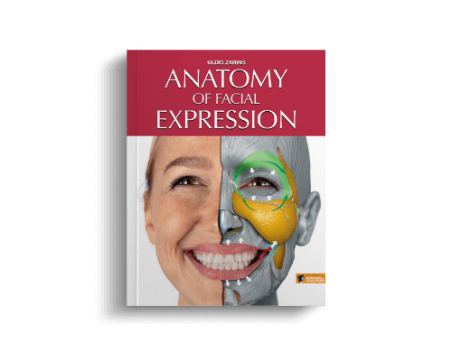anatomy of facial expression by anatomy for sculptors hero
