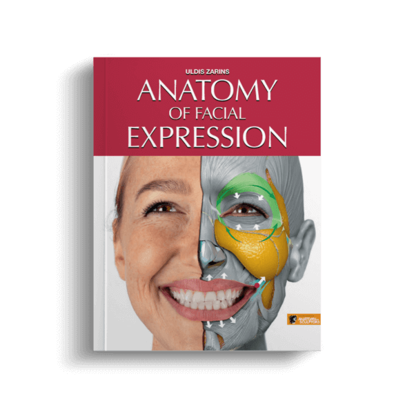 Anatomy For Sculptors Anatomy Book Series For Artists