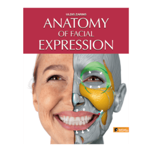 anatomy of facial expression by anatomy for sculptors pdf ebook