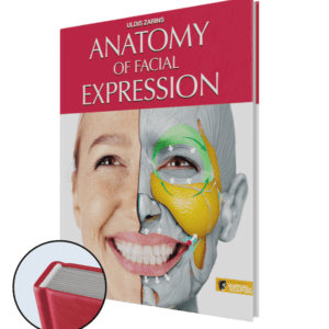 anatomy of facial expression by anatomy for sculptors hardcover