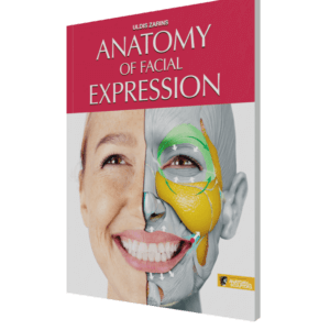 anatomy of facial expression by anatomy for sculptors paperback
