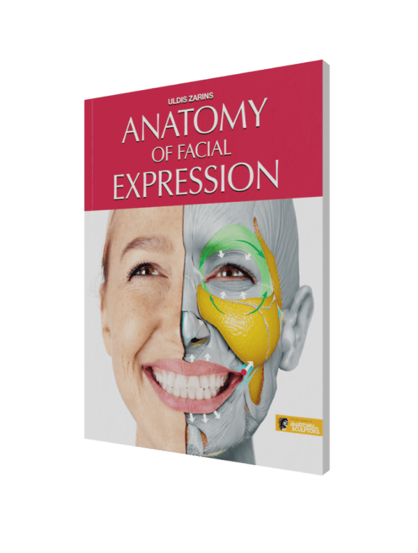anatomy of facial expression by anatomy for sculptors paperback