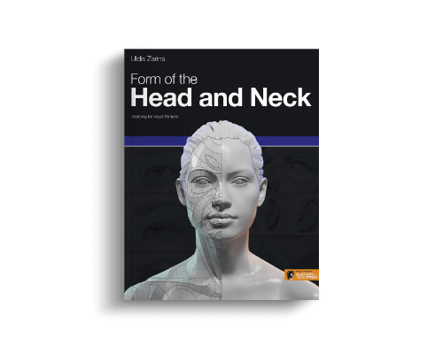 form of the head and neck by anatomy for sculptors hero