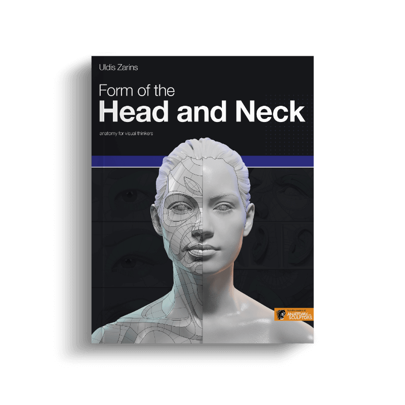 form of the head and neck by anatomy for sculptors homepage