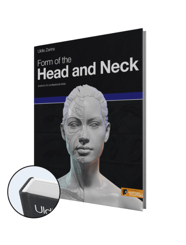form of the head and neck by anatomy for sculptors hardcover