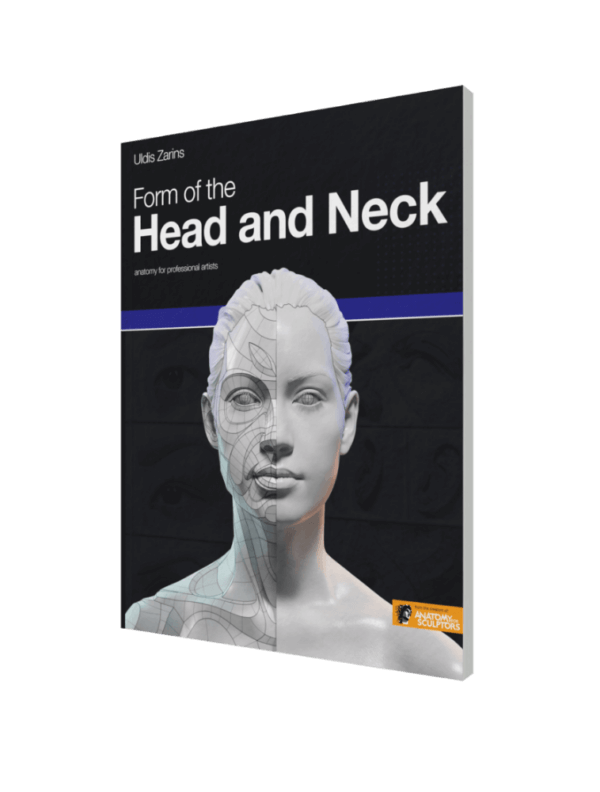 form of the head and neck by anatomy for sculptors paperback