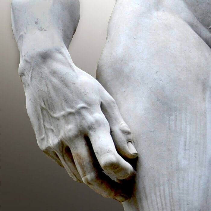 Michelangelo David Hand anatomy for artists Anatomy for Sculptors