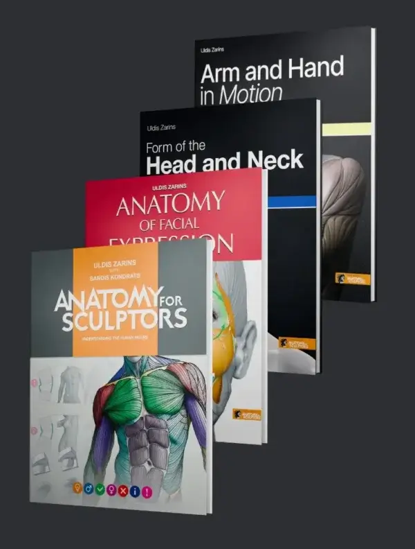 anatomy for sculptors book series bundle