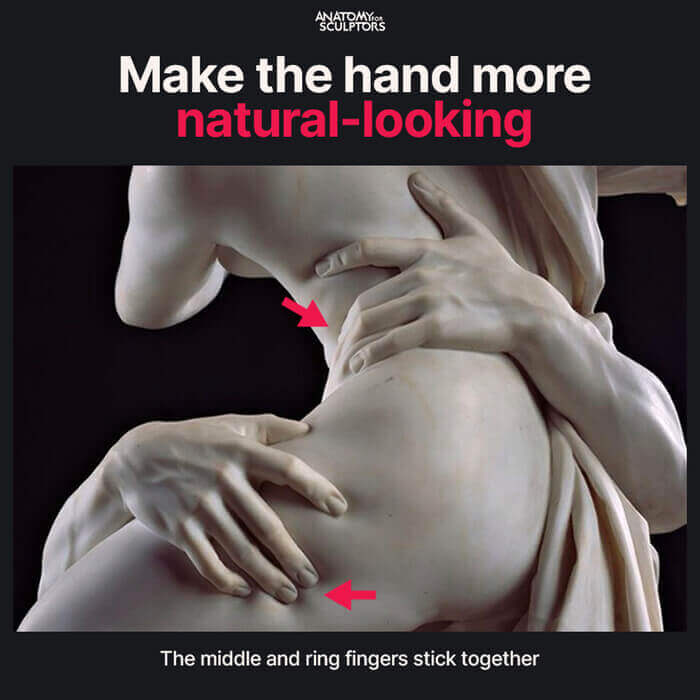 hermanos dedos 2 anatomía de la mano para artistas por anatomía para escultores