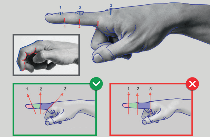 finger joints are slanted realistic hand by anatomy for sculptors