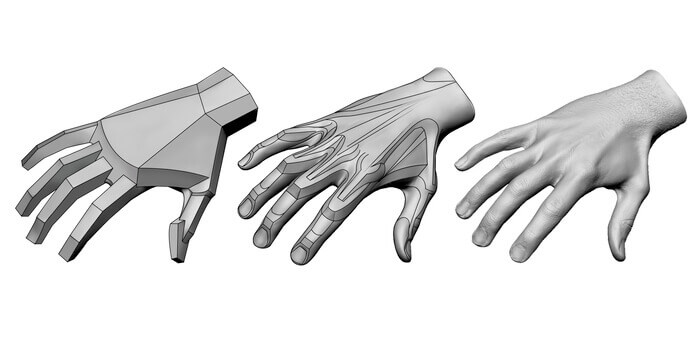 hand blockout simple to complex hand anatomy for artists by anatomy for sculptors