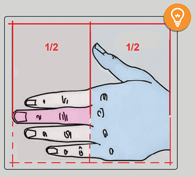 proportions de la main anatomie de la main pour les artistes par anatomie pour les sculpteurs