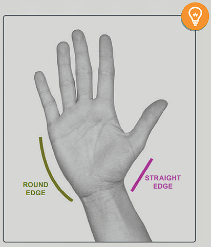 hand sides shapes hand anatomy for artists by anatomy for sculptors
