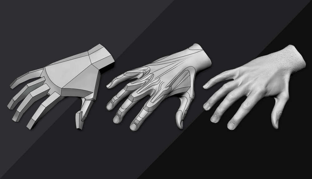 hands anatomy for artists blog by anatomy for sculptors