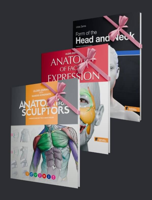 Anatomía para escultores paquete de libros