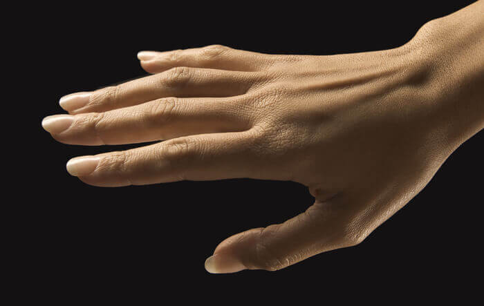hand creases dorsal side realistic hand by anatomy for sculptors