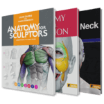 Anatomy For Sculptors | Anatomy Book Series For Artists