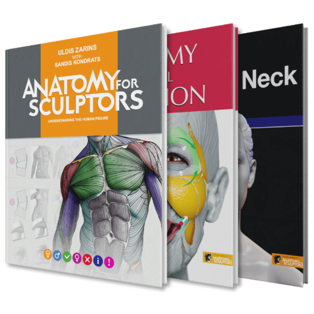 Anatomy For Sculptors book bundle