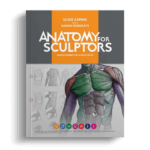 Anatomy For Sculptors | Anatomy Book Series For Artists