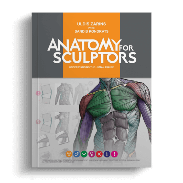 Anatomy For Sculptors Anatomy Book Series For Artists