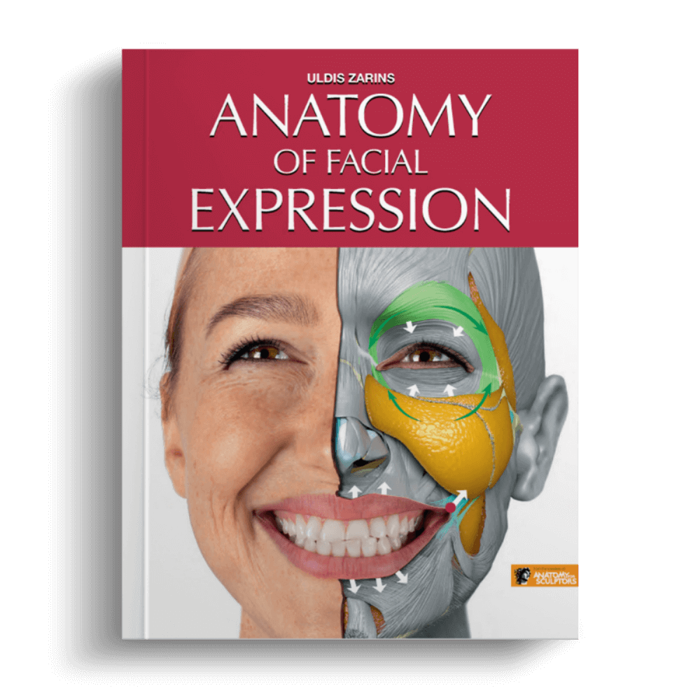 Anatomy of facial expression Anatomy For Sculptors 1