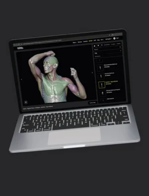 3D-reference-tool-product-img