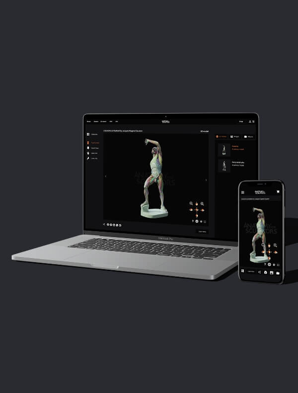 3d model viewer premium anatomy for sculptors 1