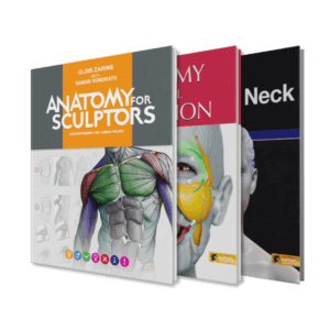 Anatomy For Sculptors | Anatomy Book Series For Artists