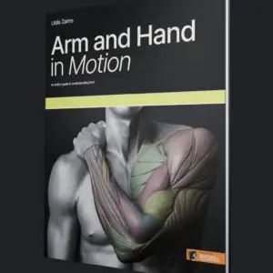 Bras et main en mouvement par Anatomy For Sculptors