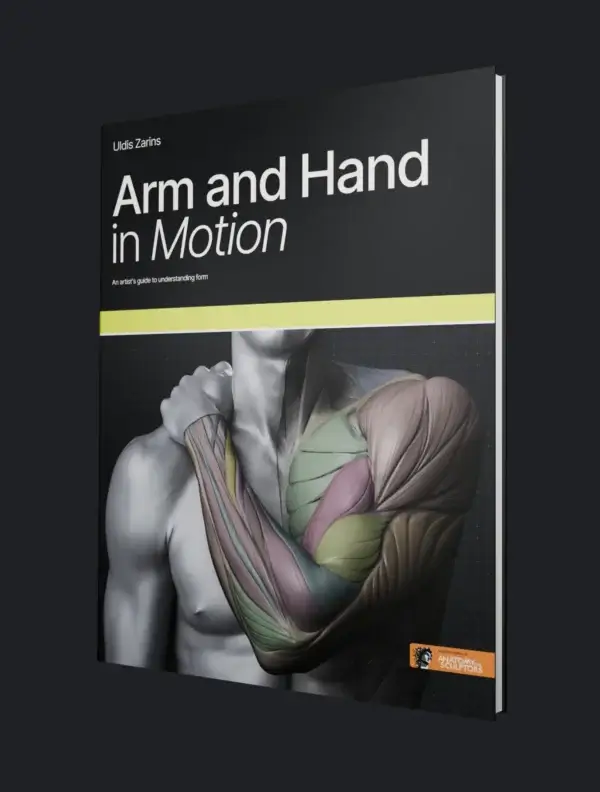 Braço e mão em movimento por Anatomy For Sculptors