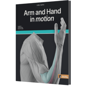 Arm and Hand in Motion by Anatomy For Sculptors