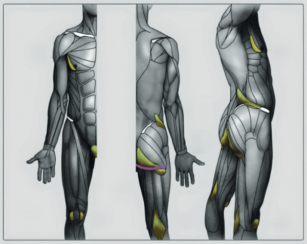 Butt and hips main image 0