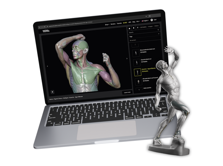 3d-ref-premium-img
