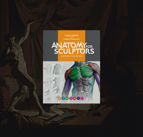 Anatomy Of Facial Expression Pdf E Book By Anatomy For Sculptors Anatomy Of Facial Expression Pdf E Book By Anatomy For Sculptors