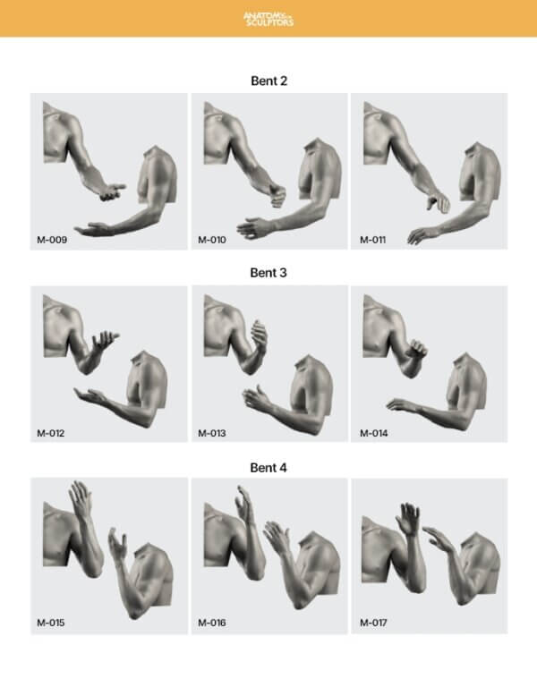 Arm and Hand in Motion by Anatomy For Sculptors page 2